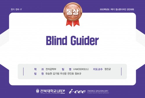 Blind Guider