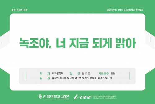 녹조야, 너 지금 되게 밝아