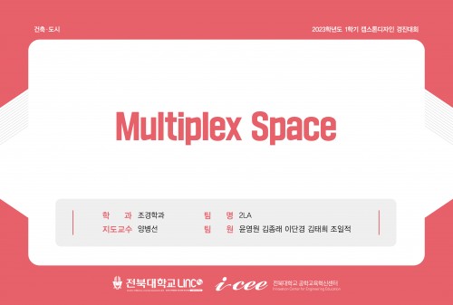 Multiplex Space